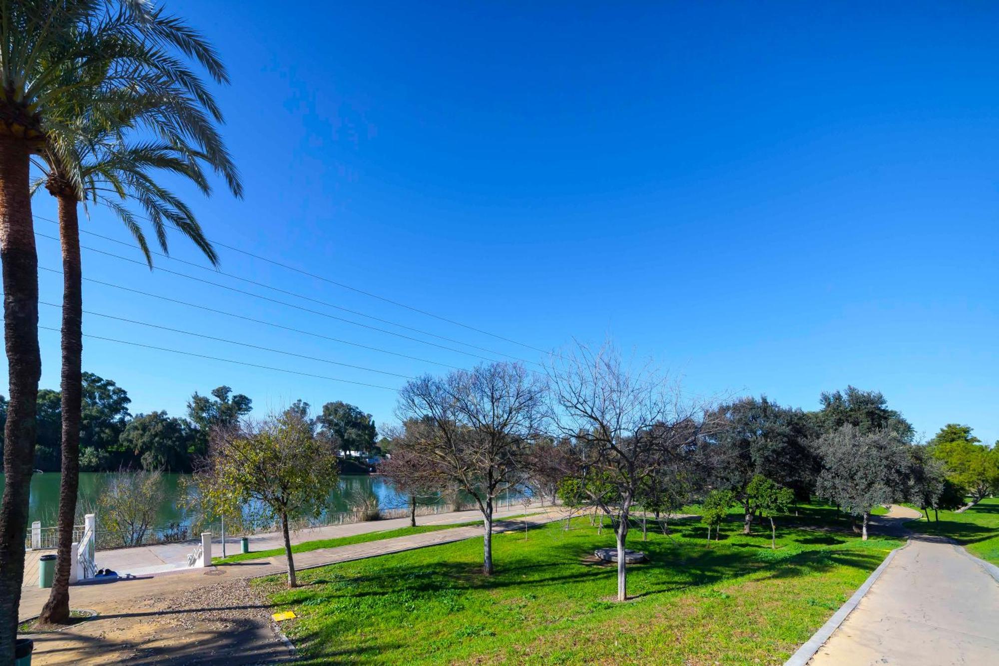 Appartement Sje - Shiny Close To The River *